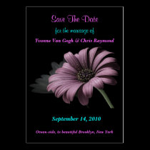 Save The Date Grey Purple Black Daisy business cards