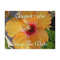 Save The Date Hibiscus Postcard postcards