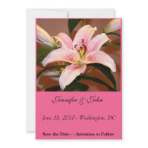 Save the Date Invitation