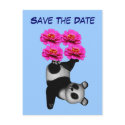 Save The Date Juggling Panda Bear Funny Postcard postcard