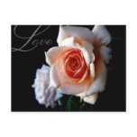 Save the Date Love Rose Postcard