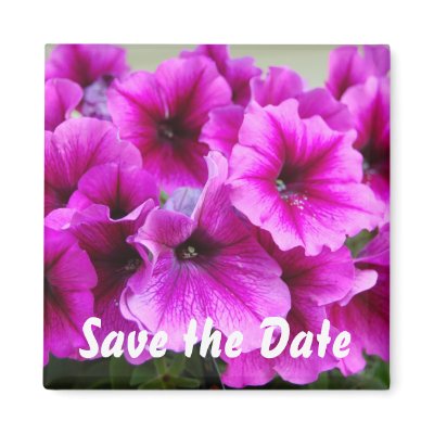 Save the Date Fridge Magnets