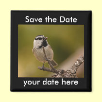 Save the Date Magnet magnets