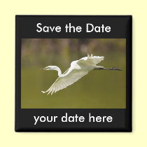 Save the Date Magnet magnets