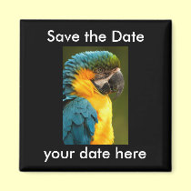 Save the Date Magnet magnets