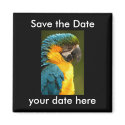 Save the Date Magnet