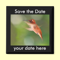 Save the Date Magnet magnets