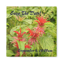 Save the Date magnets by moonrisings Save the Date magnets