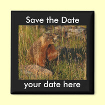 Save the Date Magnet magnets