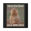 Save the Date Magnet