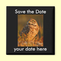 Save the Date Magnet magnets