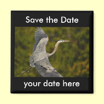 Save the Date Magnet magnets