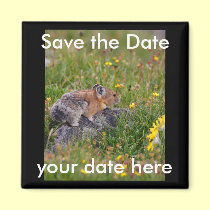 Save the Date Magnet magnets
