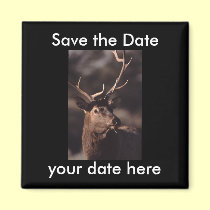 Save the Date Magnet magnets