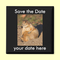 Save the Date Magnet magnets