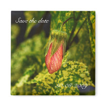 Save the Date - Magnet by wierka Save the Date - Magnet