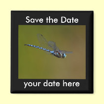 Save the Date Magnet magnets