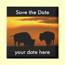Save the Date Magnet magnets