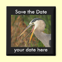 Save the Date Magnet magnets