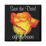 Save the Date! magnets