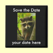 Save the Date Magnet magnets