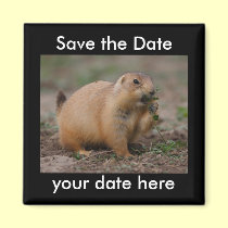Save the Date Magnet