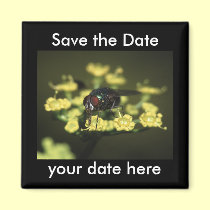 Save the Date Magnet magnets