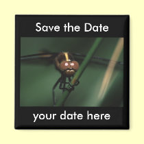 Save the Date Magnet magnets