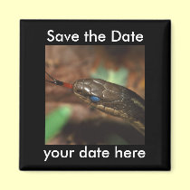 Save the Date Magnet magnets