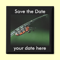 Save the Date Magnet magnets
