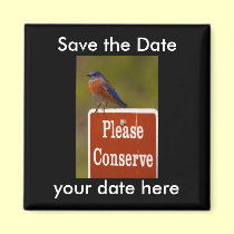 Save the Date Magnet magnets