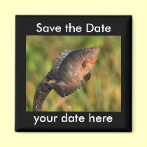 Save the Date Magnet magnets