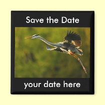 Save the Date Magnet magnets