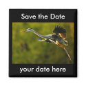 Save the Date Magnet