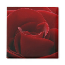 Save The Date magnets