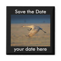 Save the Date Magnet