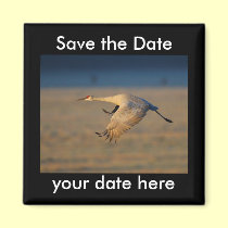 Save the Date Magnet