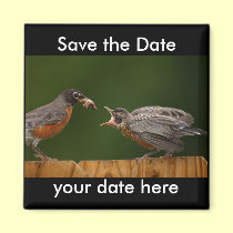 Save the Date Magnet magnets