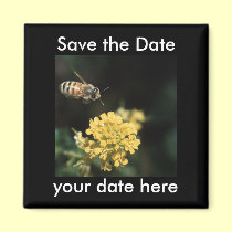 Save the Date Magnet magnets