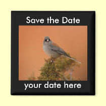 Save the Date Magnet magnets