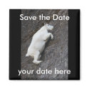 Save the Date Magnet