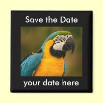 Save the Date Magnet magnets