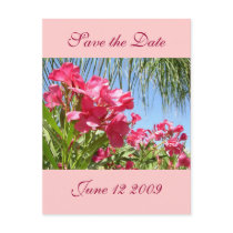Save the Date Oleander Post Card postcards