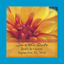 Save the Date - Orange Dahlia magnets