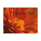 postcard - flower
