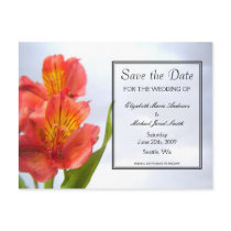 Save the Date Orange Lily Postcard