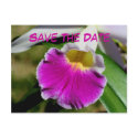 Save The Date Orchid Flower Photo Postcard postcard