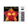 Save the Date Orchid