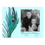 Save the Date - Peacock #2 Postcard
