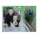 Save the Date - Peacock Post Card